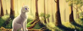 Коты Воители фон