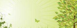 Фон для презентации лес