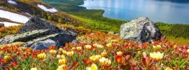 Кольский полуостров