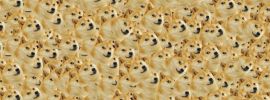 Смешные собаки обои