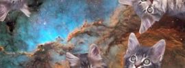 Коты в космосе обои