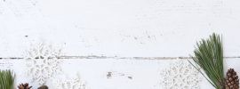 Дерево зимой