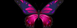 Неоновые бабочки на черном фоне