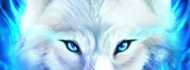 Красно синий волк