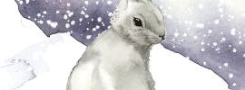 Белый кролик на снегу