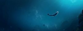 Подводный мир марианской впадины