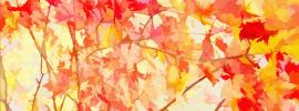 Абстрактная композиция осень