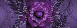 Фиолетовые арты