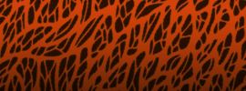 Тигр на оранжевом фоне