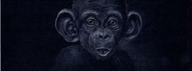Портрет обезьяны