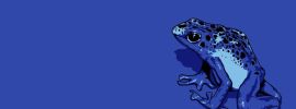 Лягушка голубой древолаз
