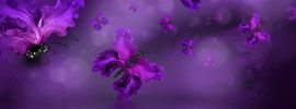 Фиолетовый мотылек