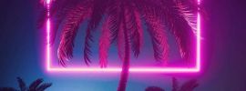 Фиолетовые пальмы обои