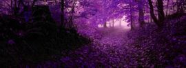 Лес фиолетовый фон