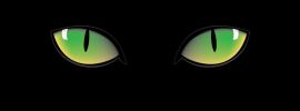 Глаза кошки ночью