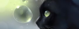 Черная кошка с синими глазами
