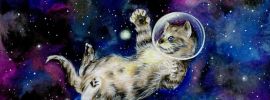Галактические коты
