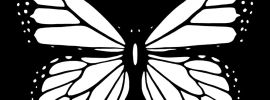 Бабочки нарисованные черно белые