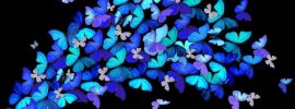 Маленькие синие бабочки
