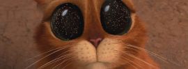 Кот в сапогах с глазами