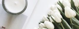 Белые тюльпаны эстетика