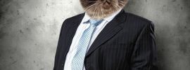 Котенок в деловом костюме