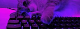 Кот лежит на клавиатуре