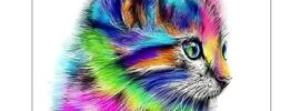 Разноцветные котята