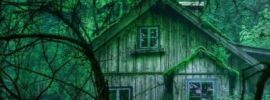 Страшный дом в лесу