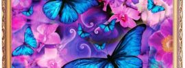 Бабочки розово голубые
