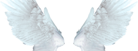 Белые крылья картинки