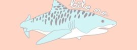 Котик акула рисунок