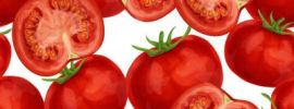 Рисунки томатов