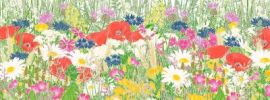 Рисунки поля с цветами