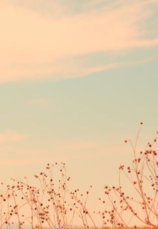 Фон для фейсбука