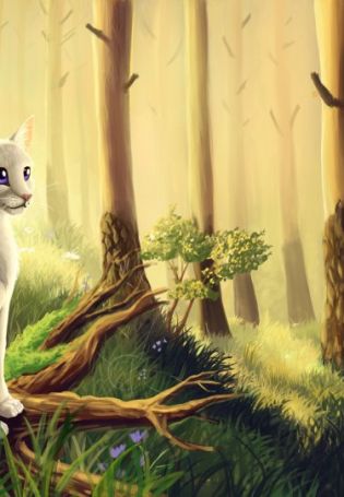Коты Воители фон
