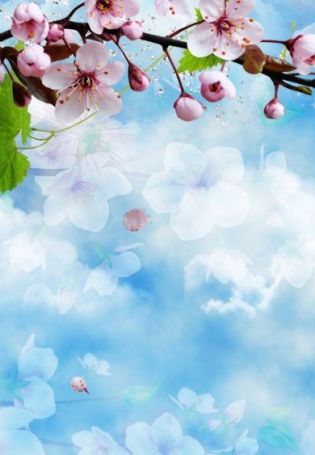 Красивый фон Весна