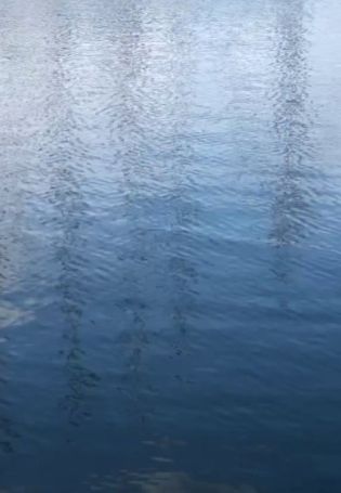 Водная гладь