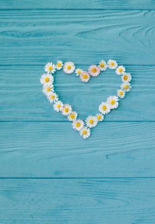 Голубой фон с ромашками