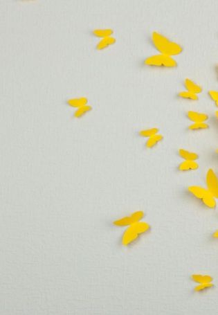 Обои бабочки пинтерест