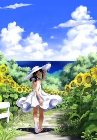 Поле подсолнухов