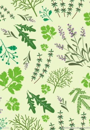 Фон зелень листва