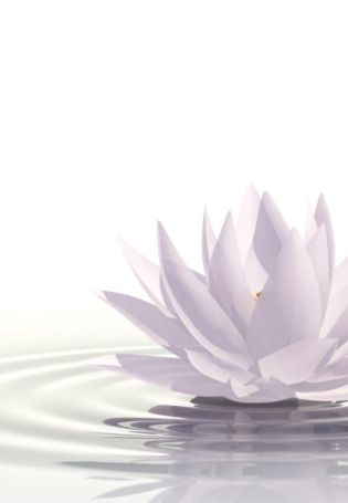 Лотос медитация