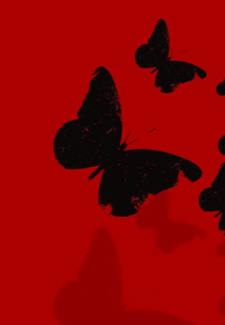 Бабочки на черном фоне