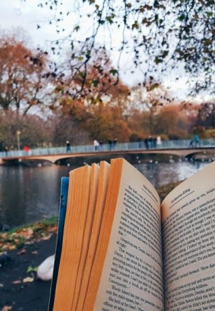 Книжная эстетика