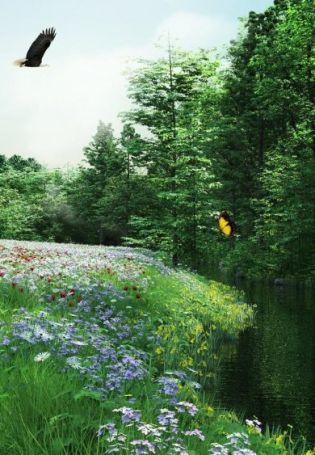 Поляна с бабочками