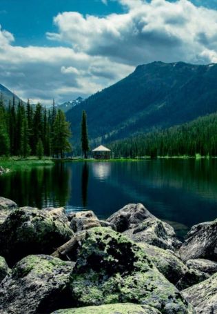 Катон карагай