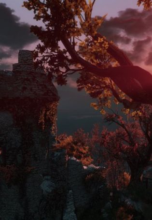 Фон ведьмак