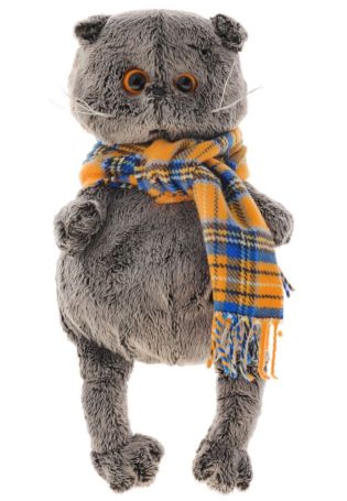 Кот басик