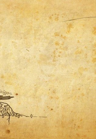 Фон этнография